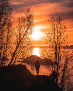 back-view-backlit-bare-tree | Expand with Julius and Xpnsion Network