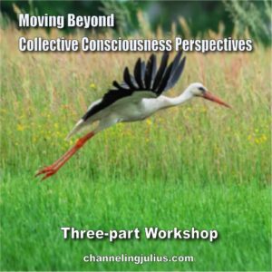 Moving Beyond Collective Consciousness Perspectives
