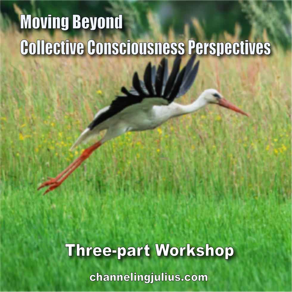 Moving Beyond Collective Consciousness Perspectives