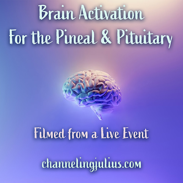 Brain Activation for the Pituitary & Pineal Glands