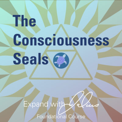 The Consciousness Seals (Foundation Class)