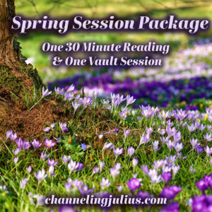 Spring Session Package