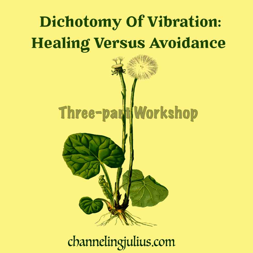 Dichotomy of Vibration: Healing Versus Avoidance
