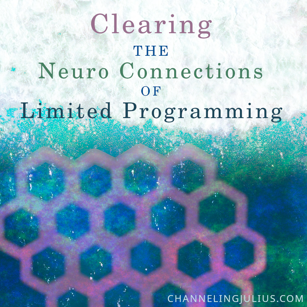 Clearing the Neuro Connections of Limited Programming